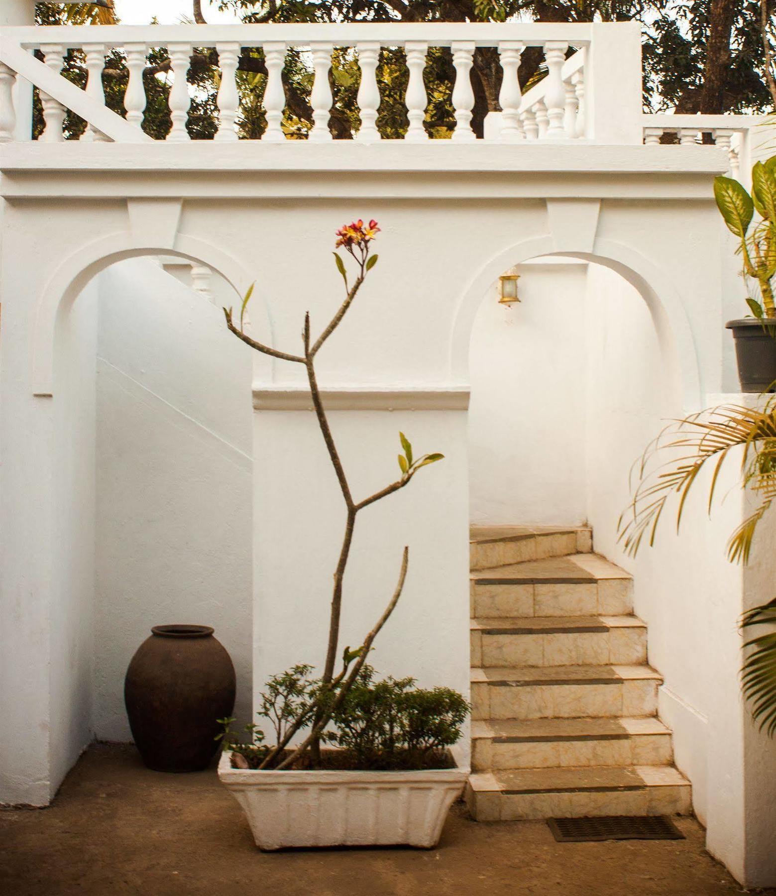 Quarto De Casa Tipri Saligao Exteriör bild