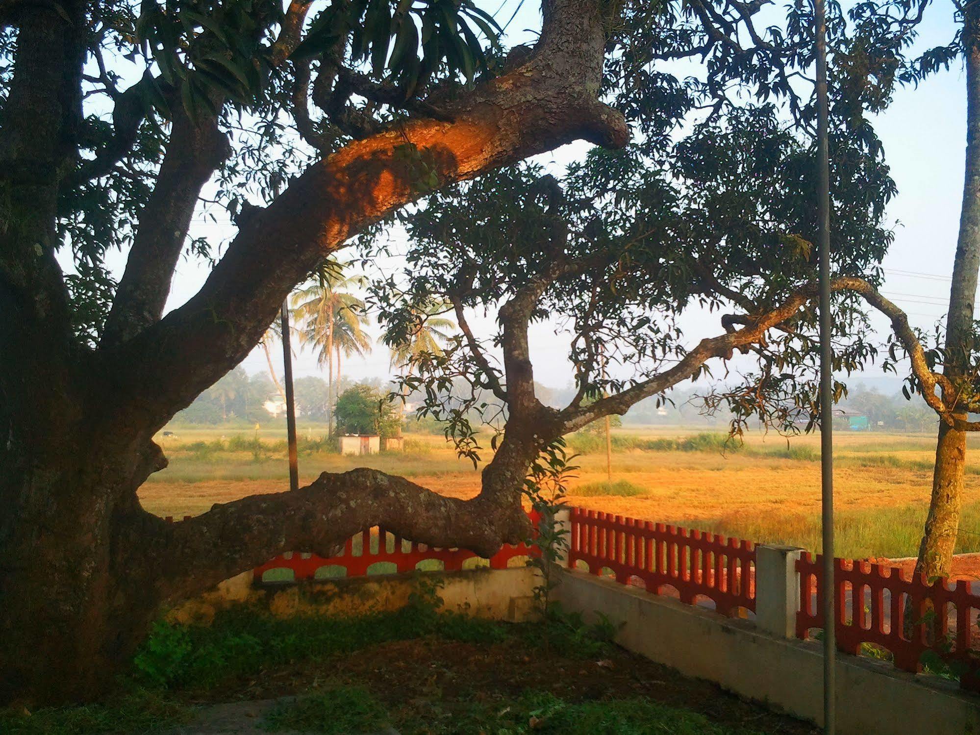 Quarto De Casa Tipri Saligao Exteriör bild